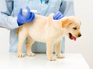 сердечная недостаточность