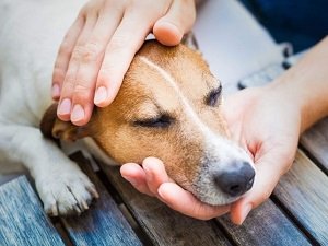 авитаминоз