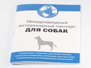 как заполнить ветеринарный паспорт