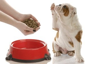 монжи корм для собак