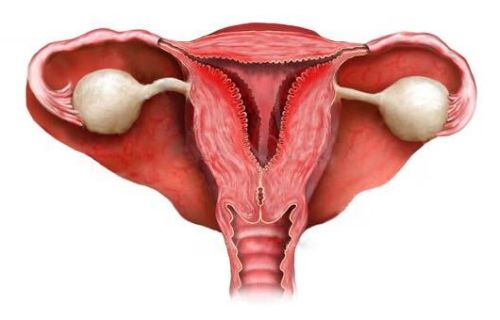 Симптомы и лечение хронического и послеродового эндометрита 2