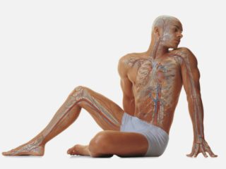 Признаки заражения глистами в основном зависят от местонахождения паразитов в организме