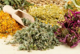 Антипаразитарный травяной сбор – смертельный удар по паразитам