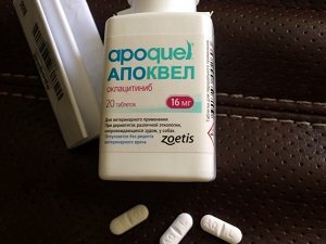 апоквел для собак цена