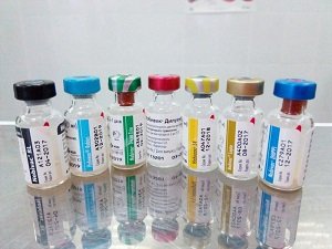 прививки для собак цена