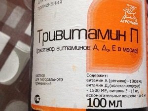 авитаминоз у собаки как лечить