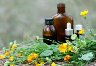 Как избавиться от глистов в домашних условиях?