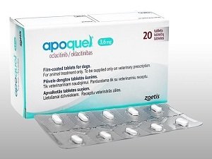 апоквел для собак купить