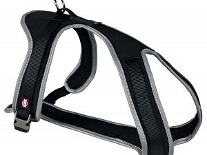 поводок для собаки своими руками