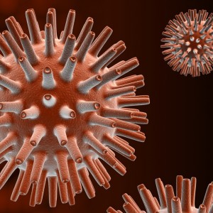 Клетки лишая Как выглядит лишай у человека, его симптомы и лечение