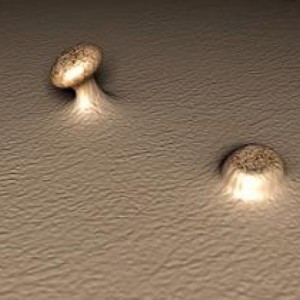 Возникновение папилломавируса Папилломавирус человека: симптомы, лечение, профилактика