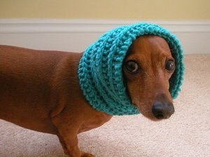 как связать шапку для собаки