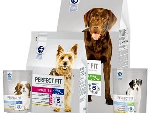 перфект фит для собак