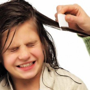 Лечение педикулеза у детей Детский педикулез. Лечение и профилактика