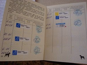 международный ветеринарный паспорт