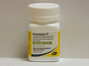 остеохондроз у собаки лечение препараты