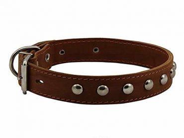 красивый ошейник с клепками