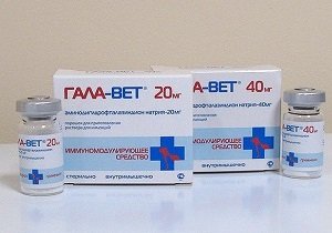 иммуномодуляторы для собак применение
